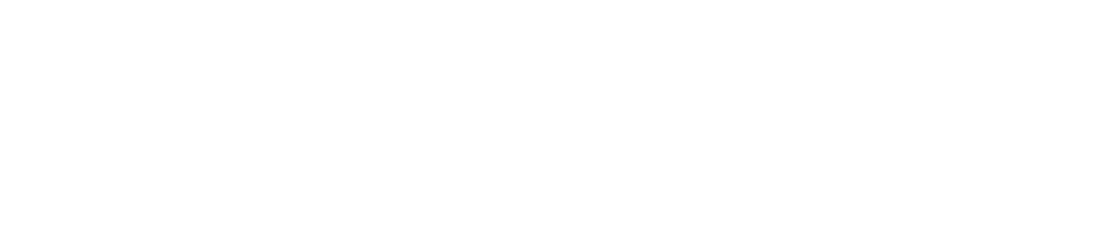 Lifeline_Logo_White